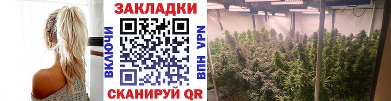 Где можно купить наркотики Курск omg ссылки  Меф  ГАШИШ 