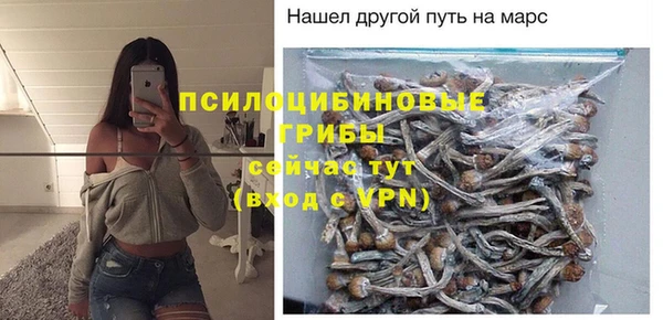 трава Абаза