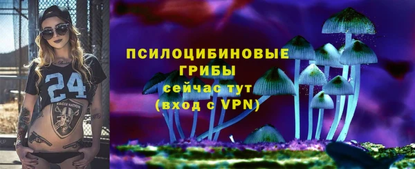 apvp Алексин
