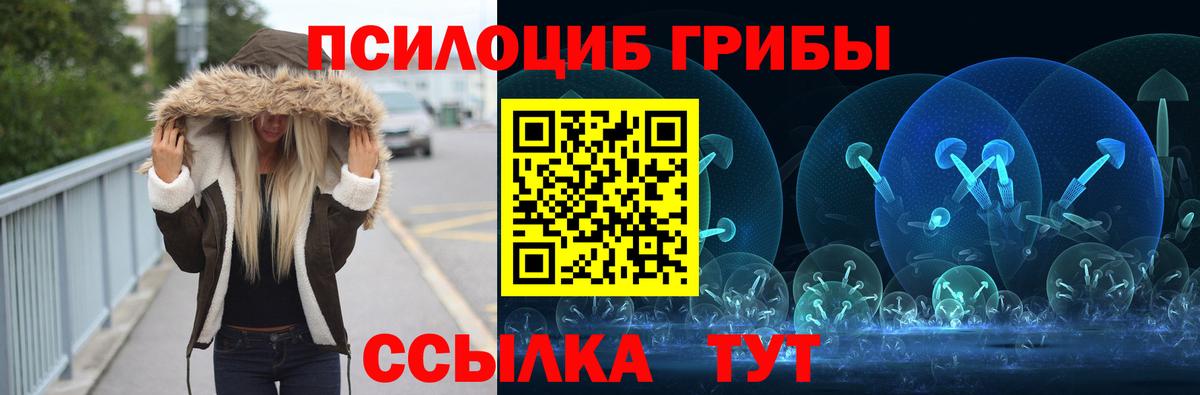 Псилоцибиновые грибы мицелий  наркота  Курск  Галлюциногенные грибы GOLDEN TEACHER  Вход с VPN 