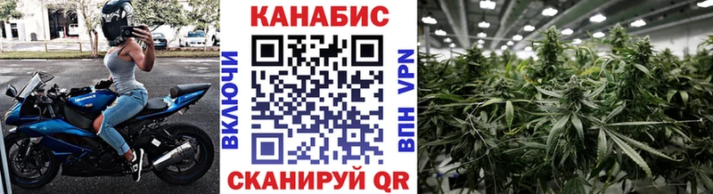 Шишки марихуана планчик  где найти   Курск 